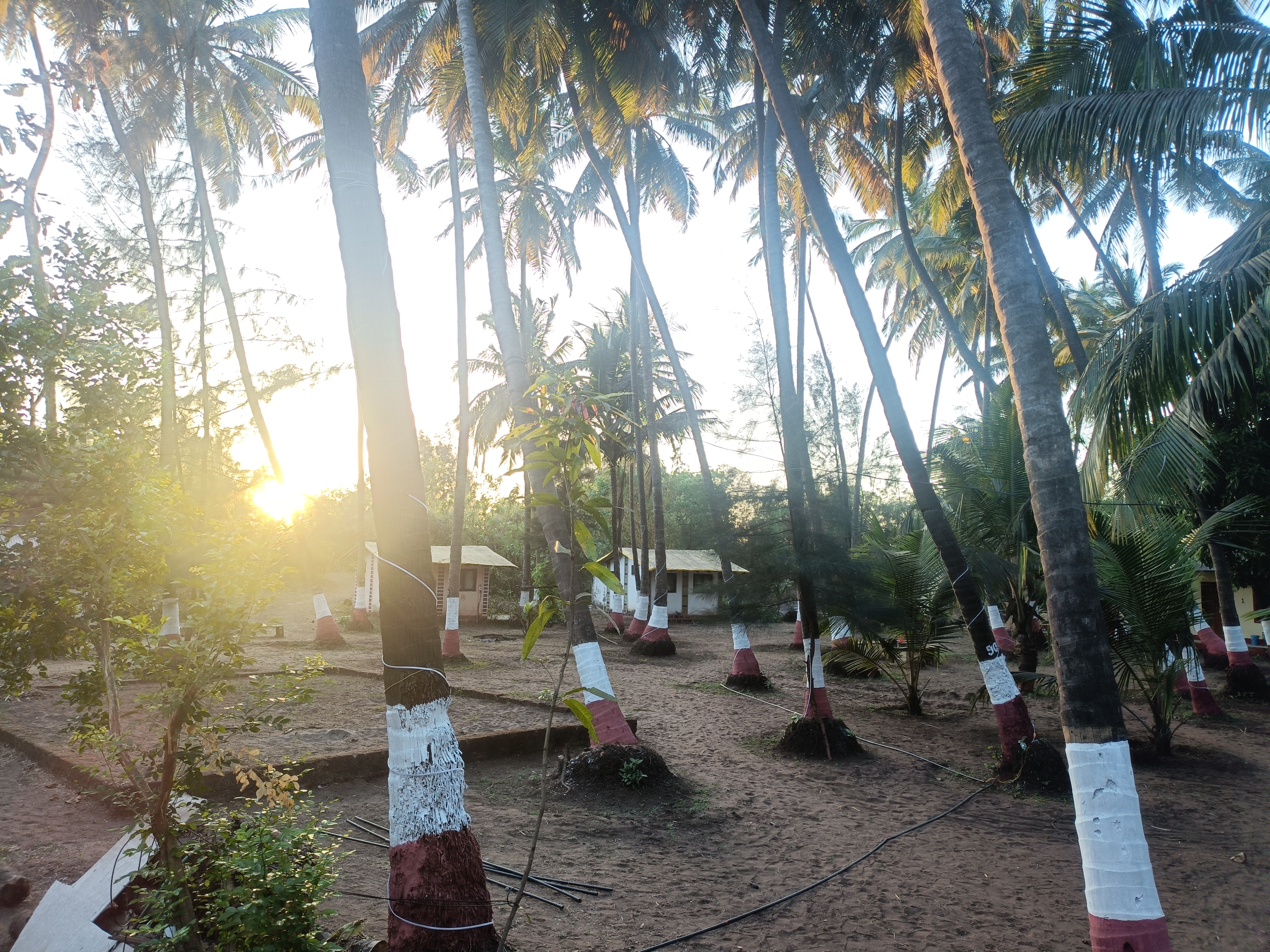 Resort Interior