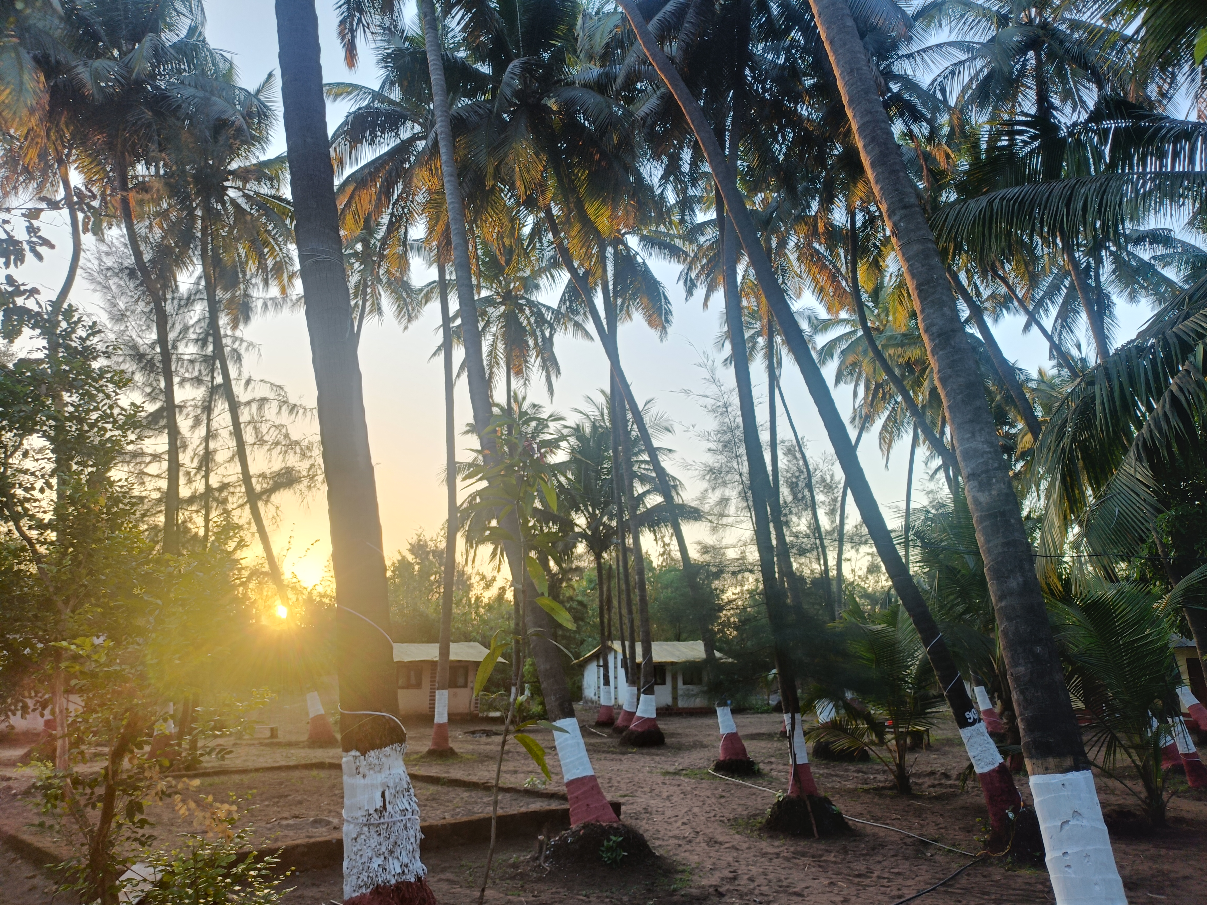 Resort Interior