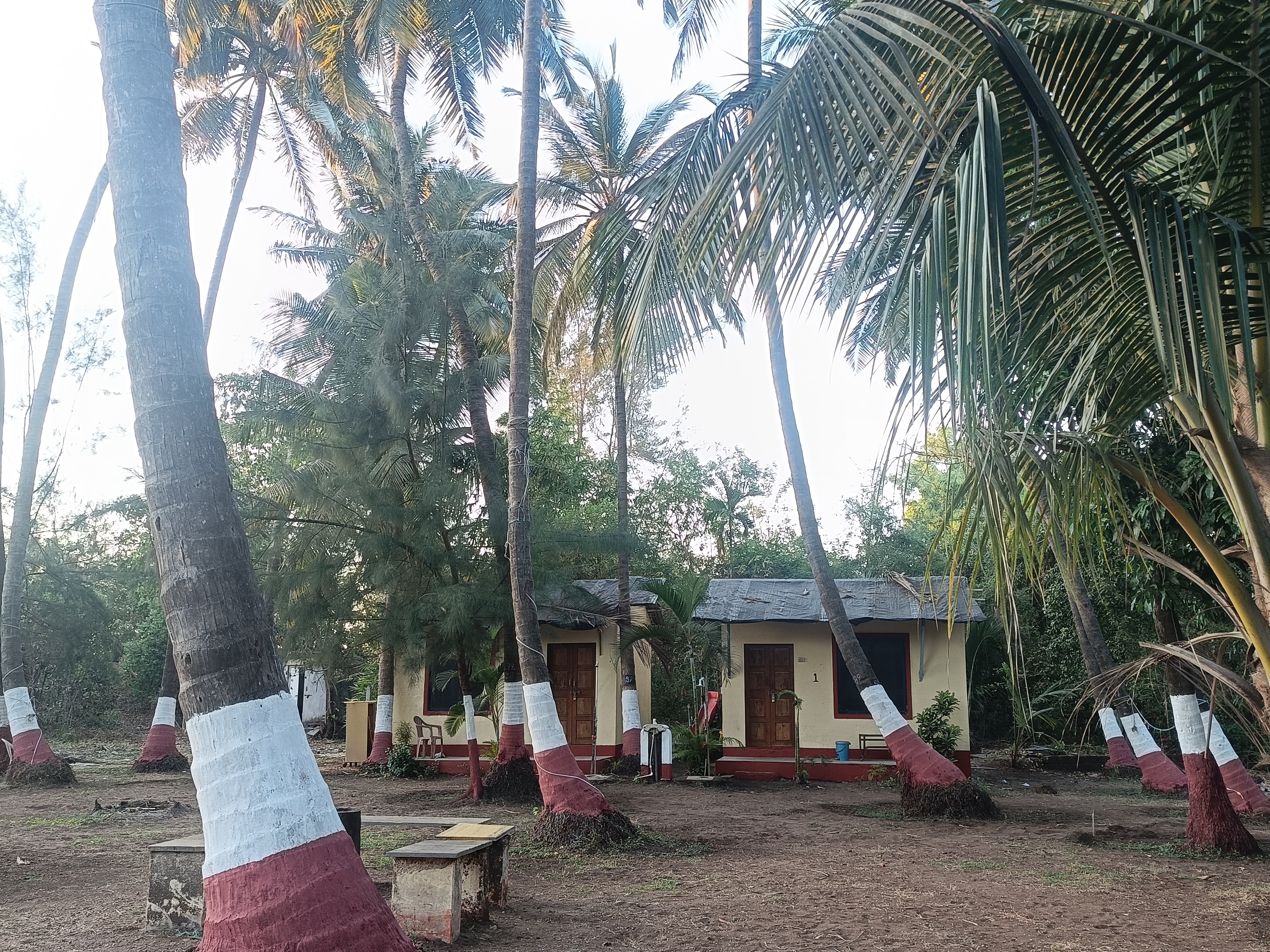 Resort Interior