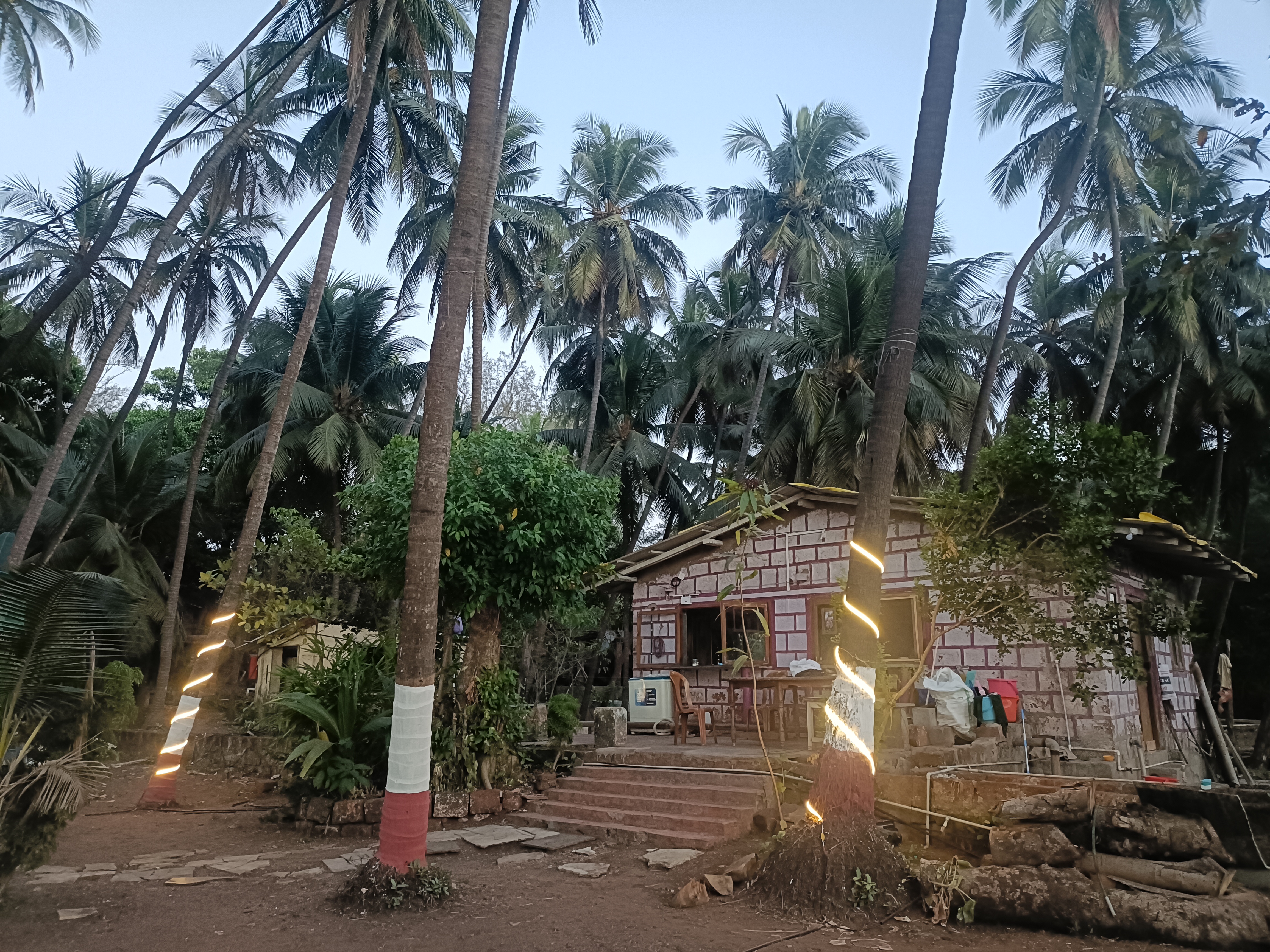 Resort View
