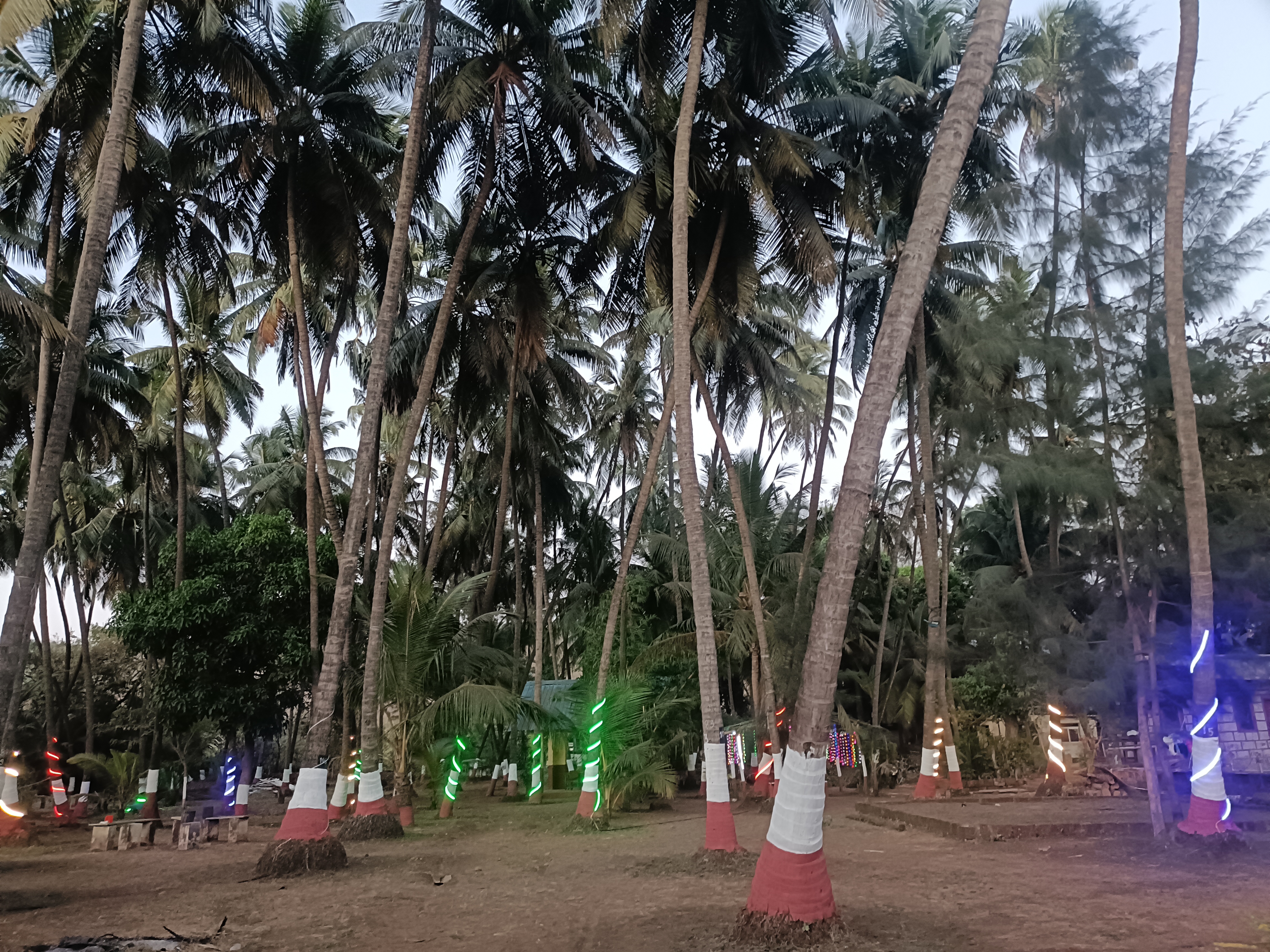 Resort View