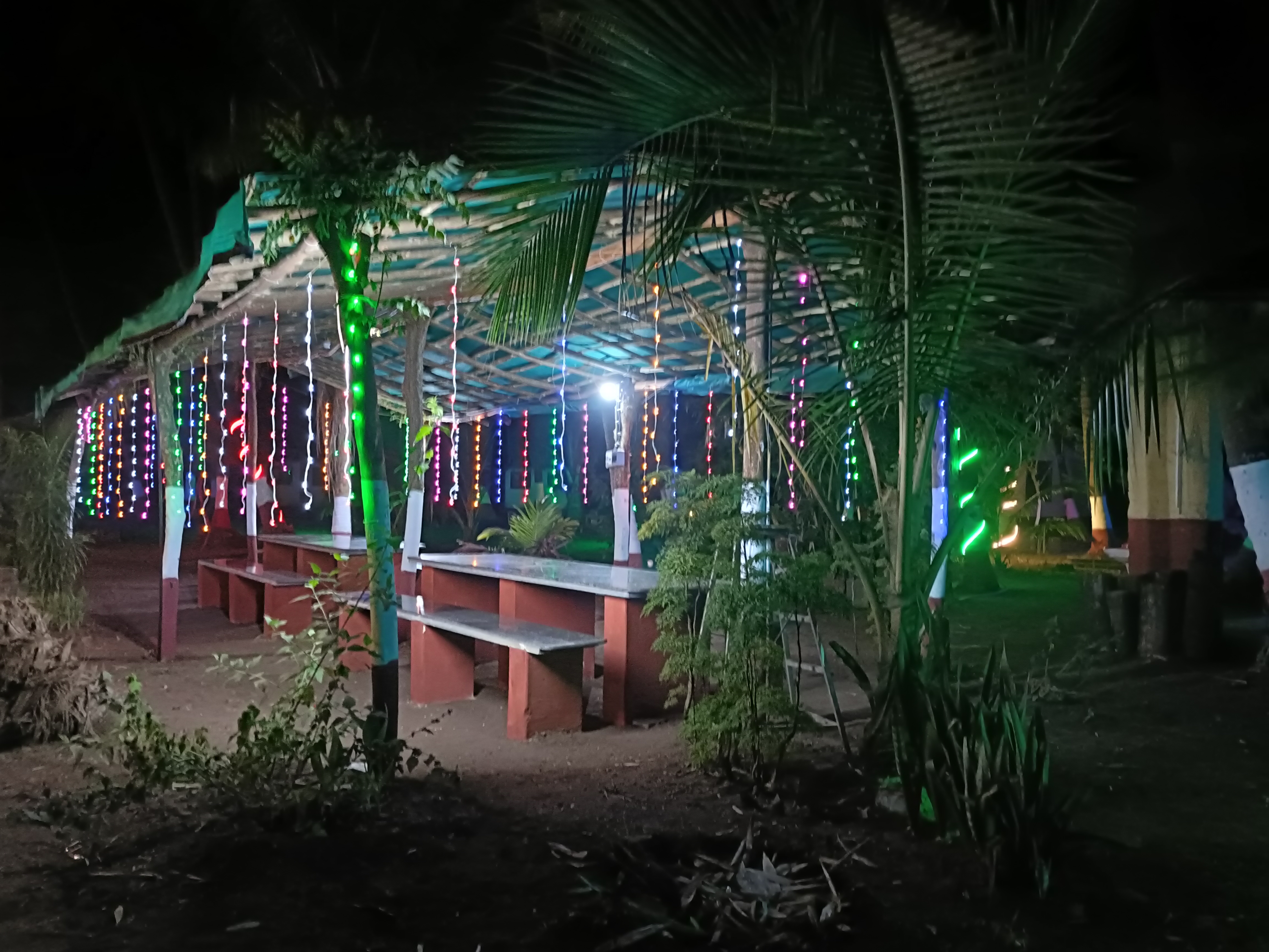 Evening View
