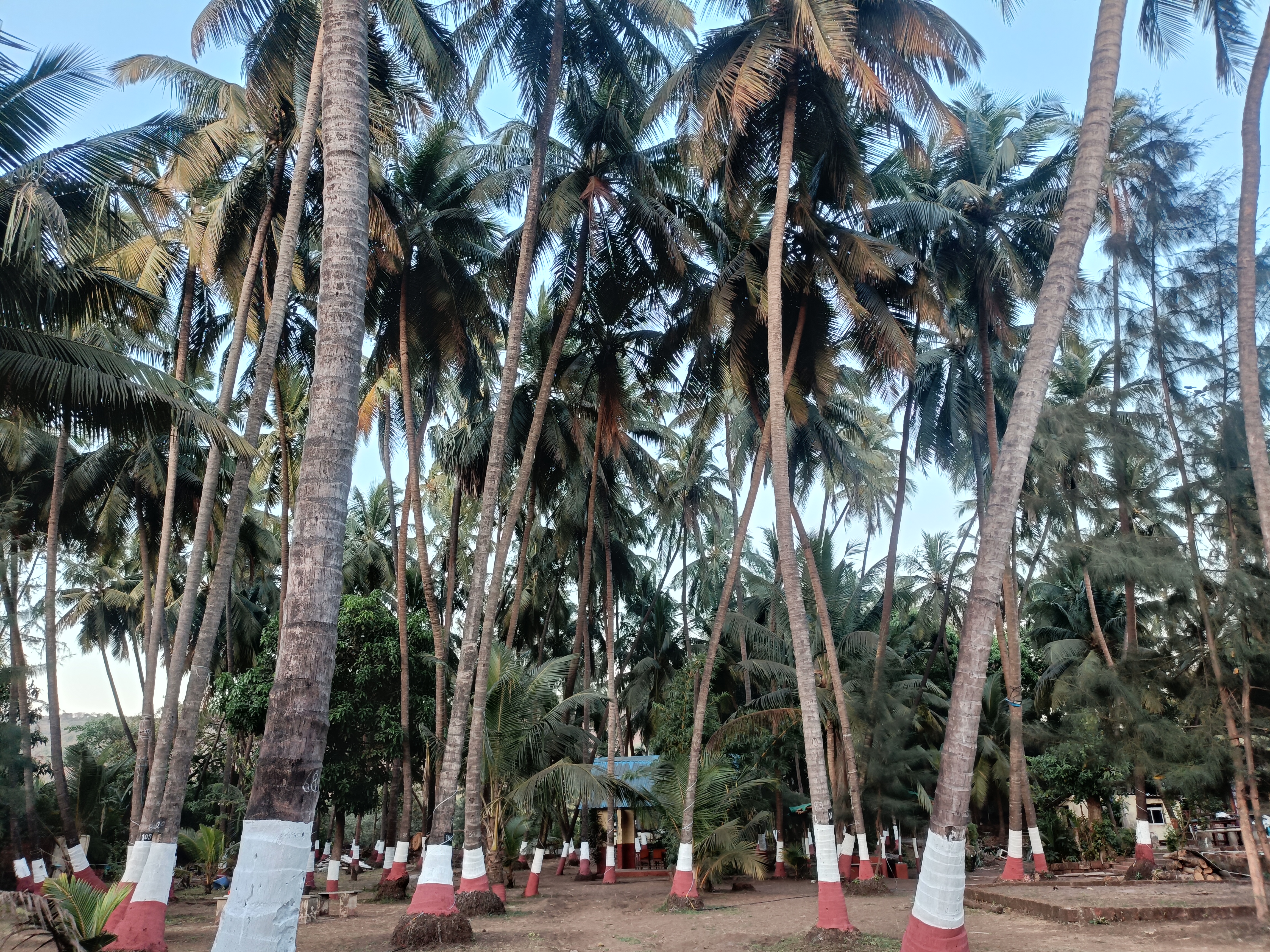 Beach View